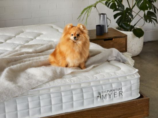 Myer King Size Mattress | Pocket Springs | Pillow Top