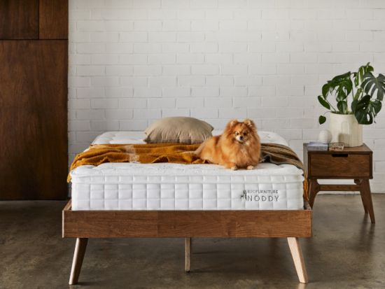 Noddy King Single Size Mattress | Pocket Springs | Pillow Top