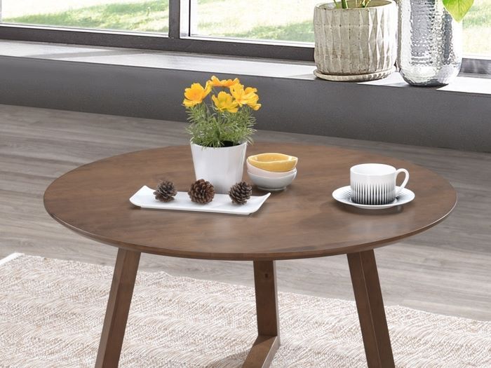 Close up photo of modern living room containing Franki round hardwood coffee table in walnut