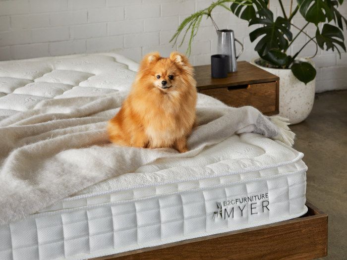 Myer King Size Mattress Pocket Springs Pillow Top