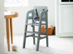Rio Toddler High Chair | Sage