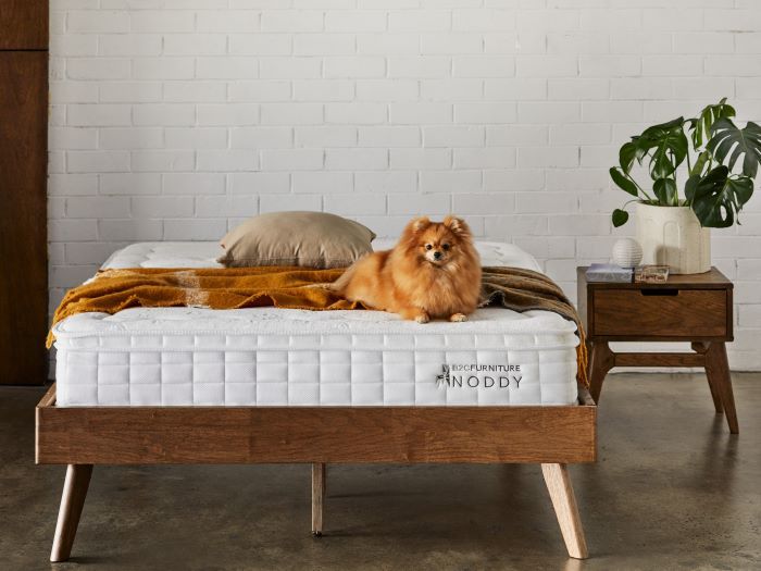 Photo of Noddy King Single Size Mattress dressed