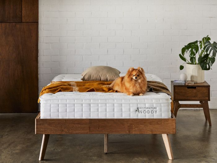 Myer King Single Bunk Bed Buddy Package | Bunk Bed & Mattresses
